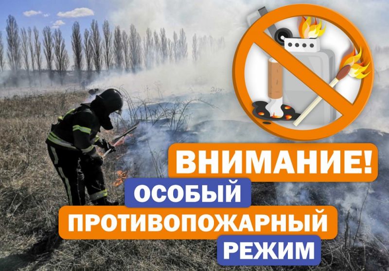 Губернатор Костромской области подписал постановление о введении с 17 мая особого противопожарного режима